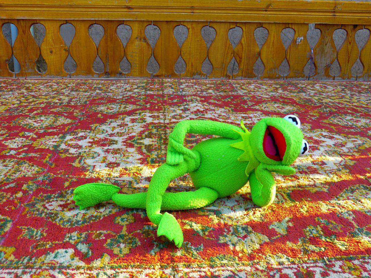 kermit frog concerns free photo
