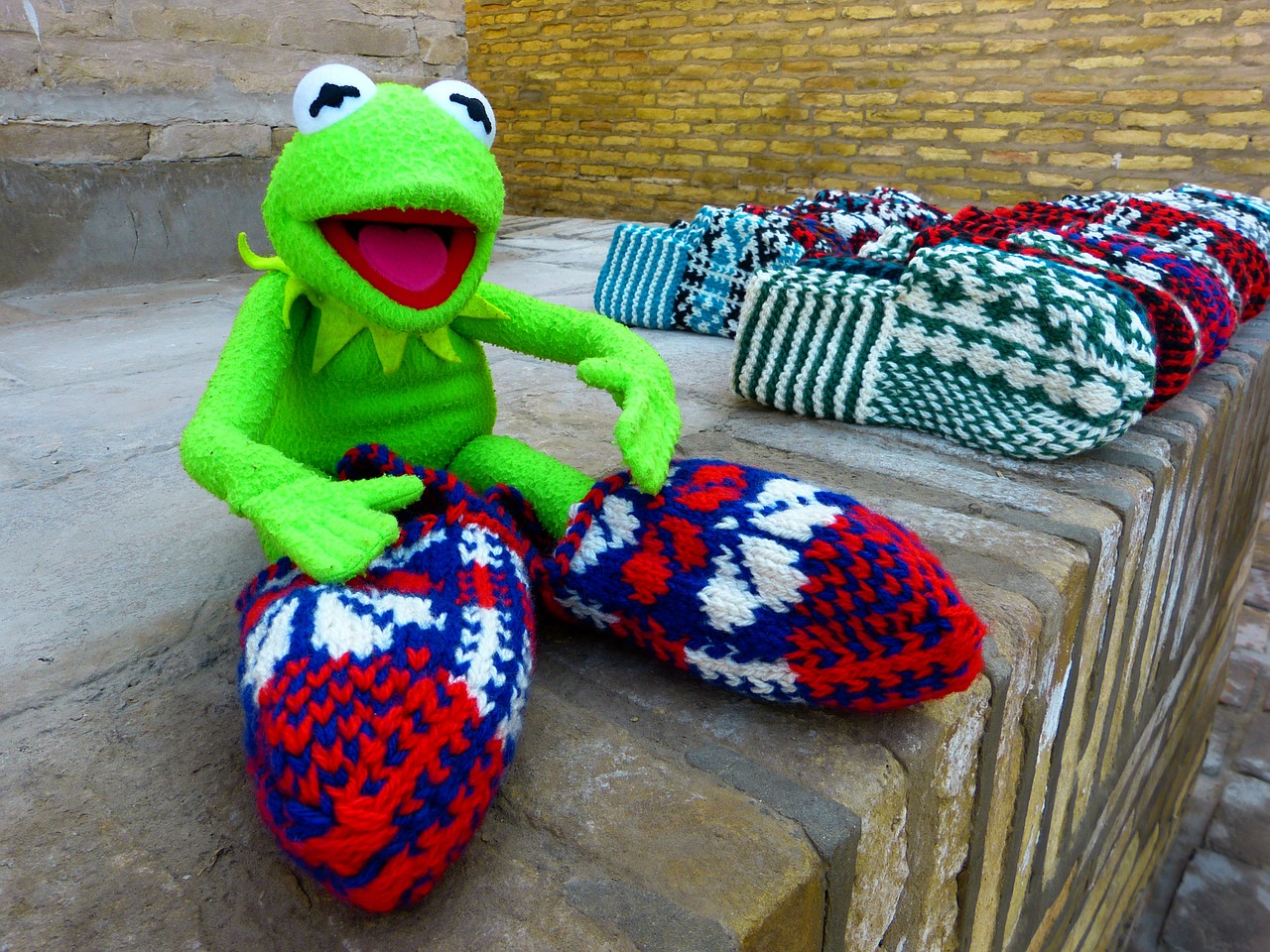 kermit frog socks shoes free photo