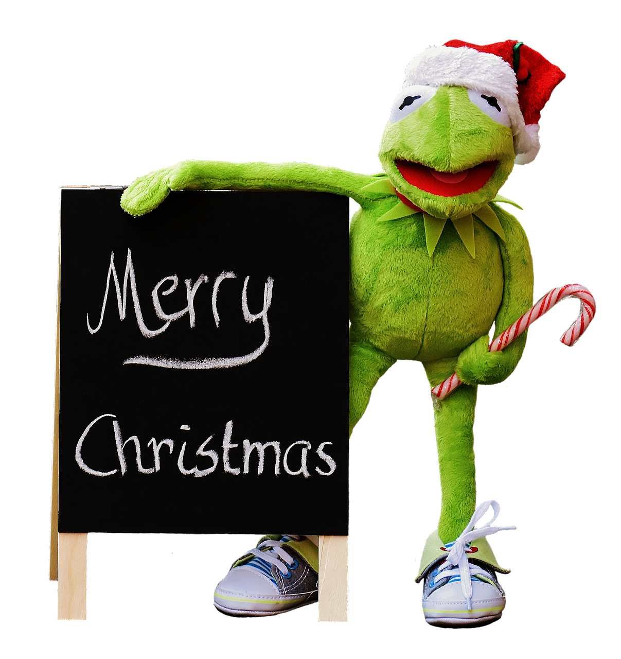 kermit frog isolated free photo