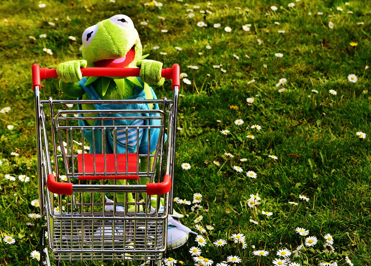 kermit frog shopping free photo