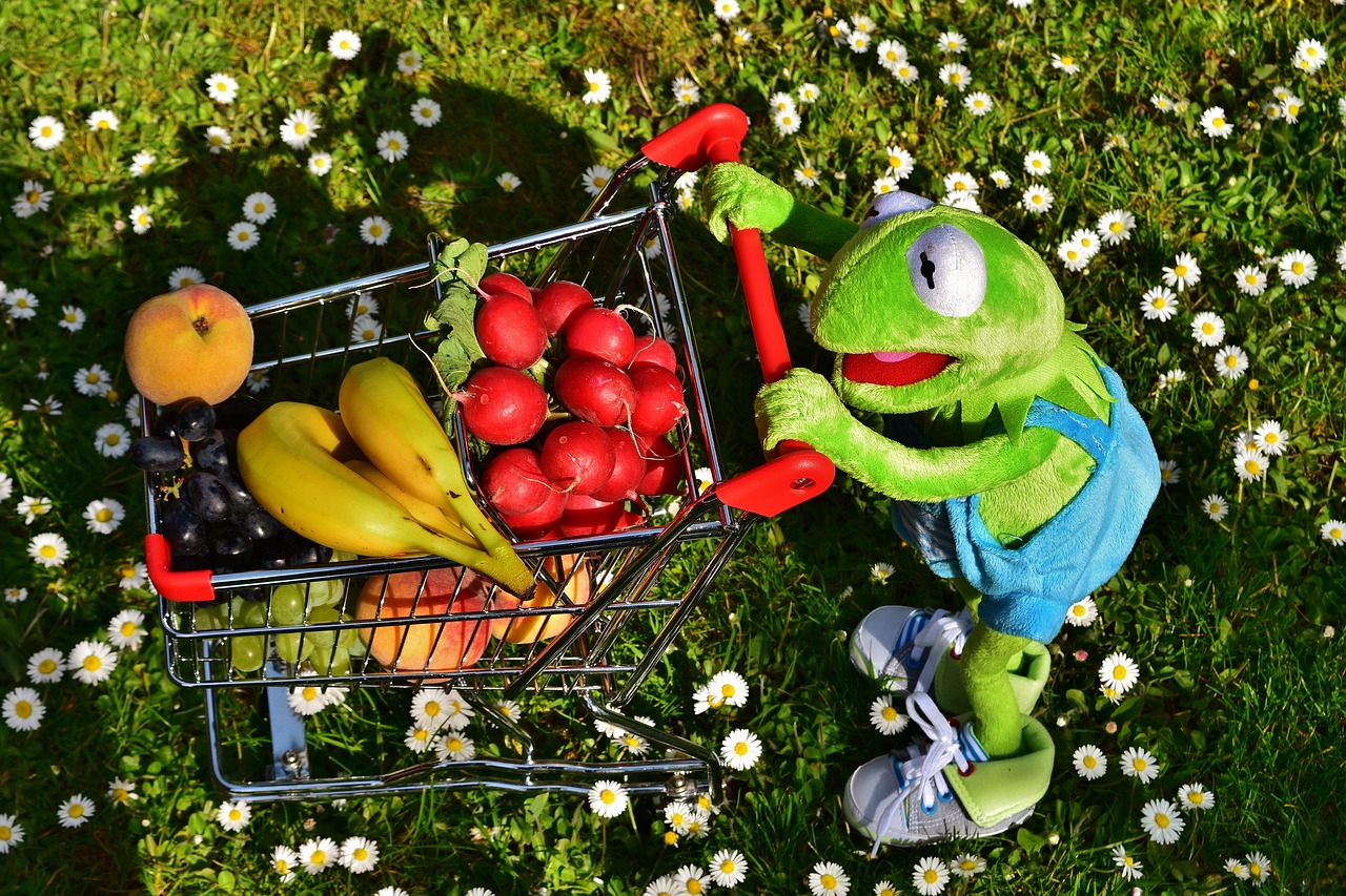kermit shopping cart healthy shopping free photo