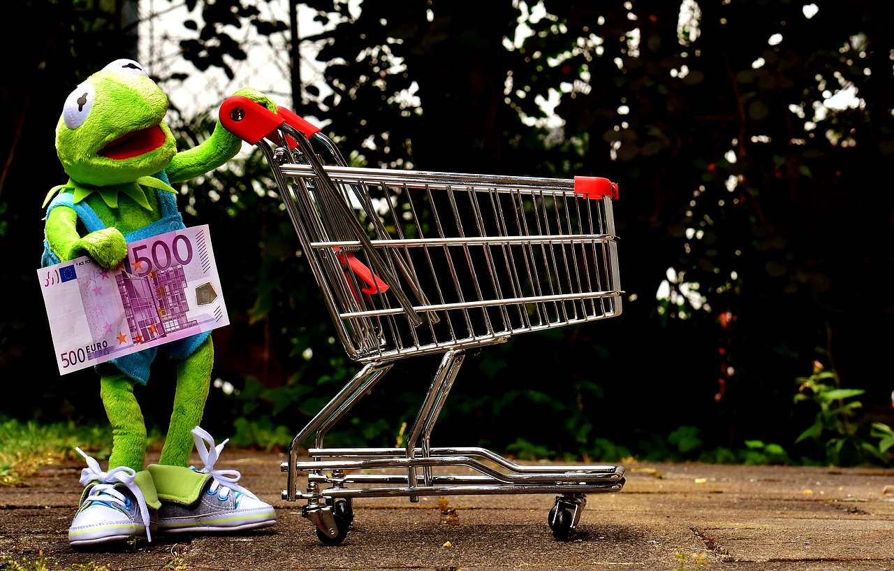 kermit shopping cart shopping free photo