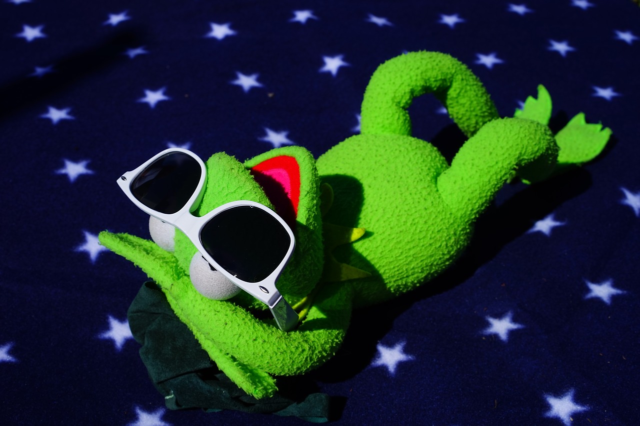 kermit frog sun free photo