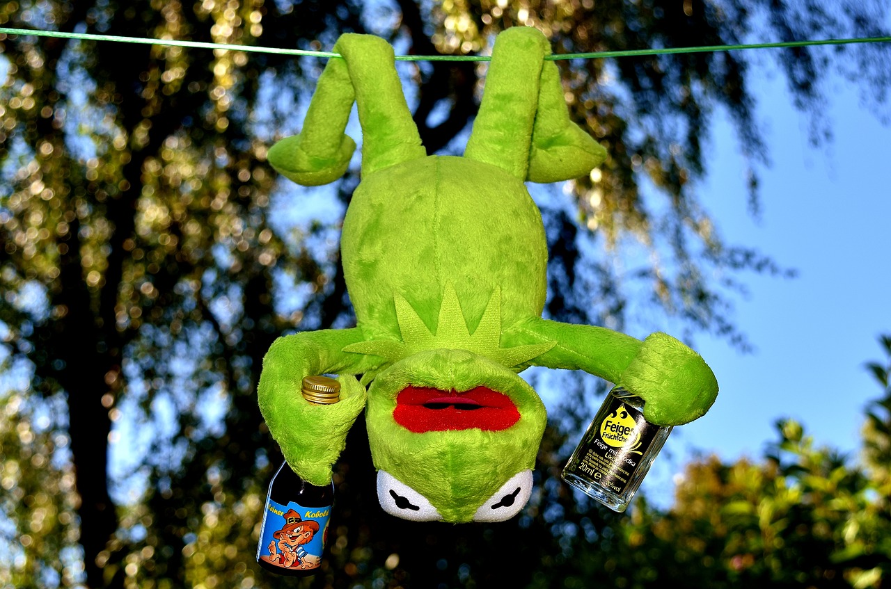 kermit frog drink free photo