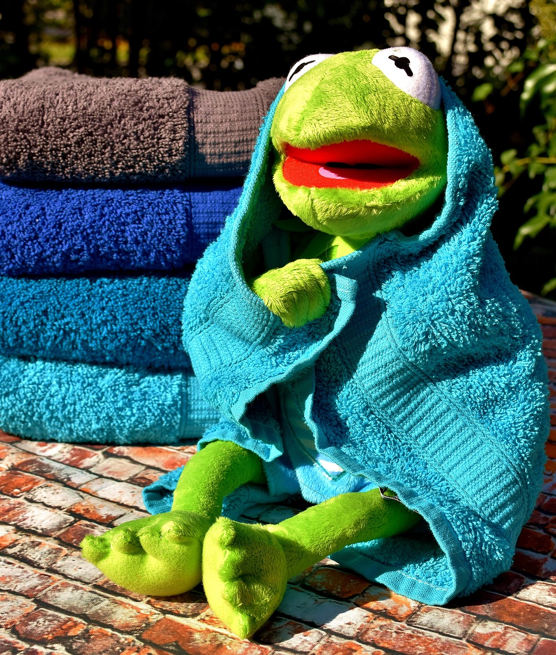 kermit towels blue free photo