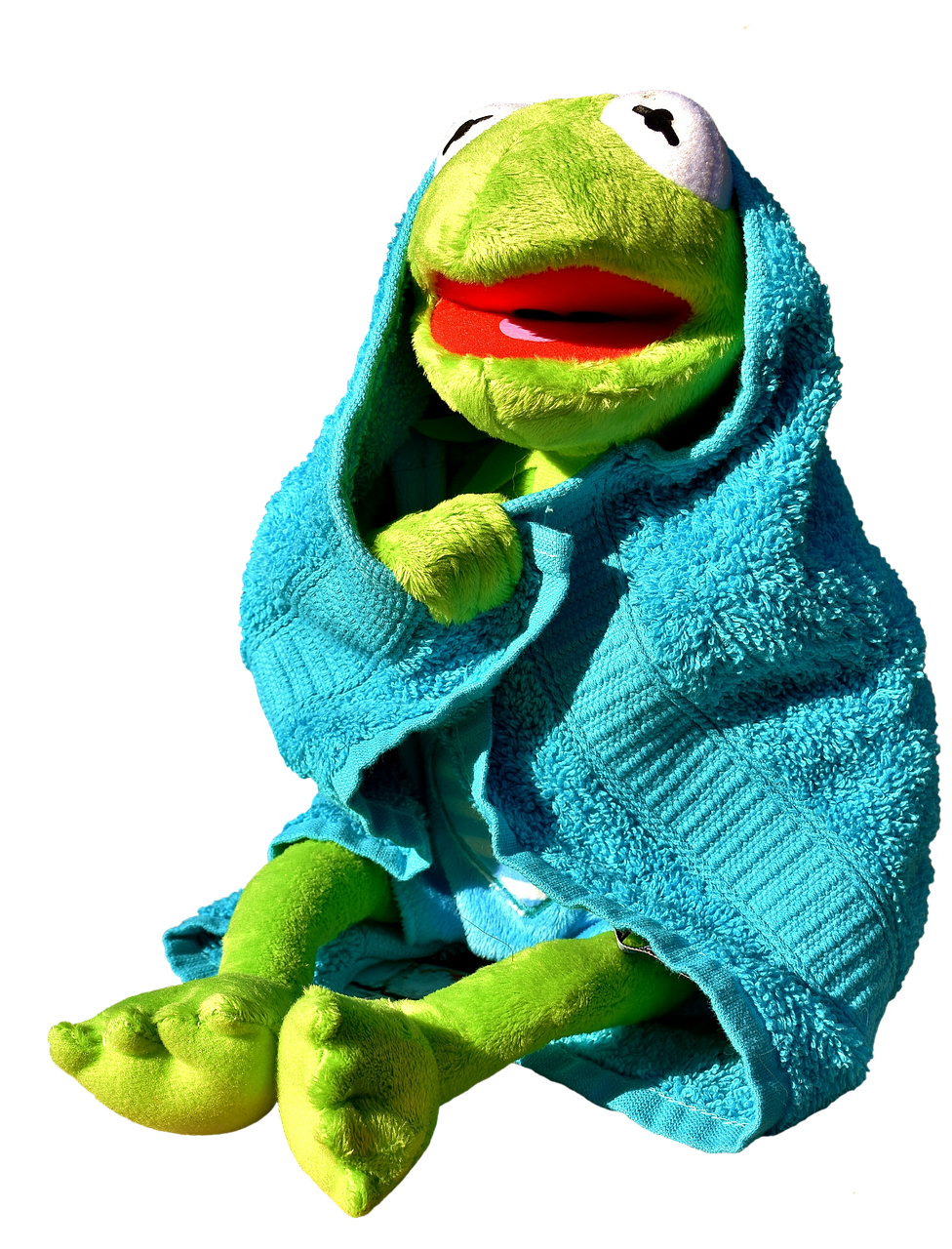 kermit frog towel free photo