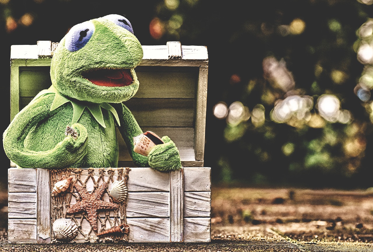 kermit  frog  chest free photo