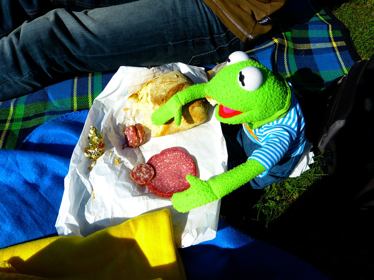 kermit frog eat free photo