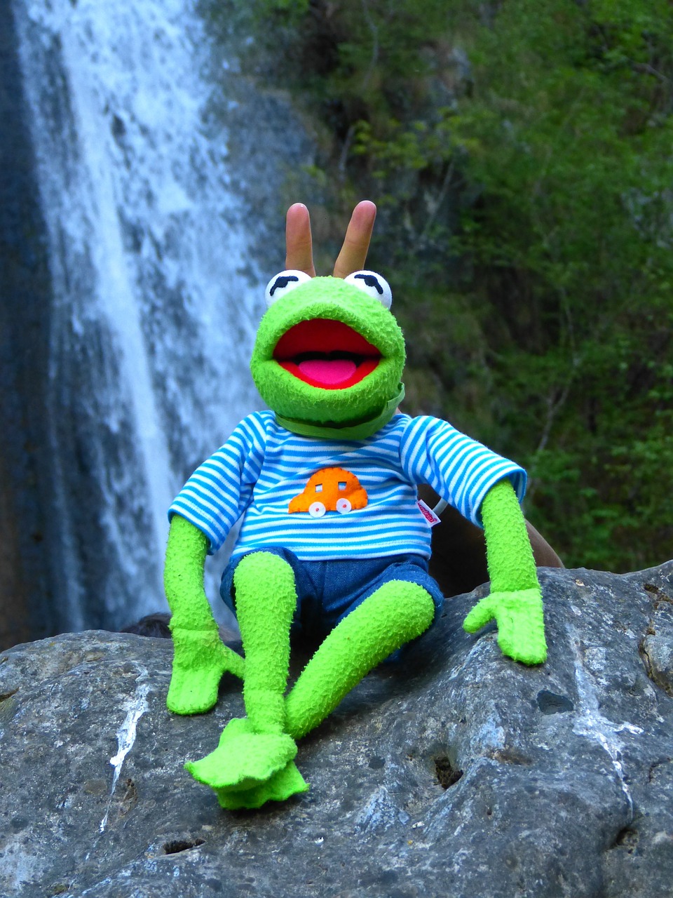 kermit frog sit free photo