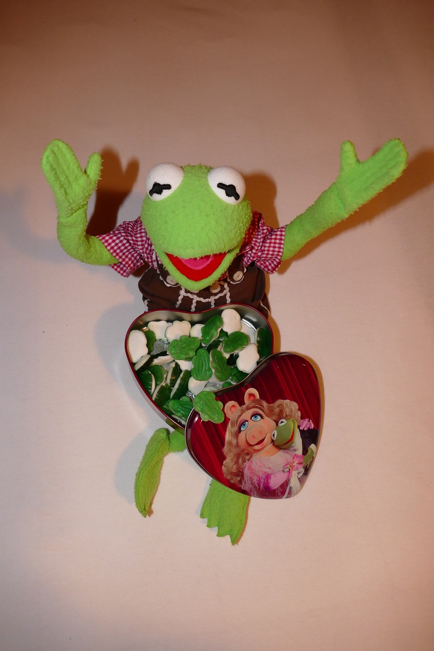 kermit frog look forward free photo