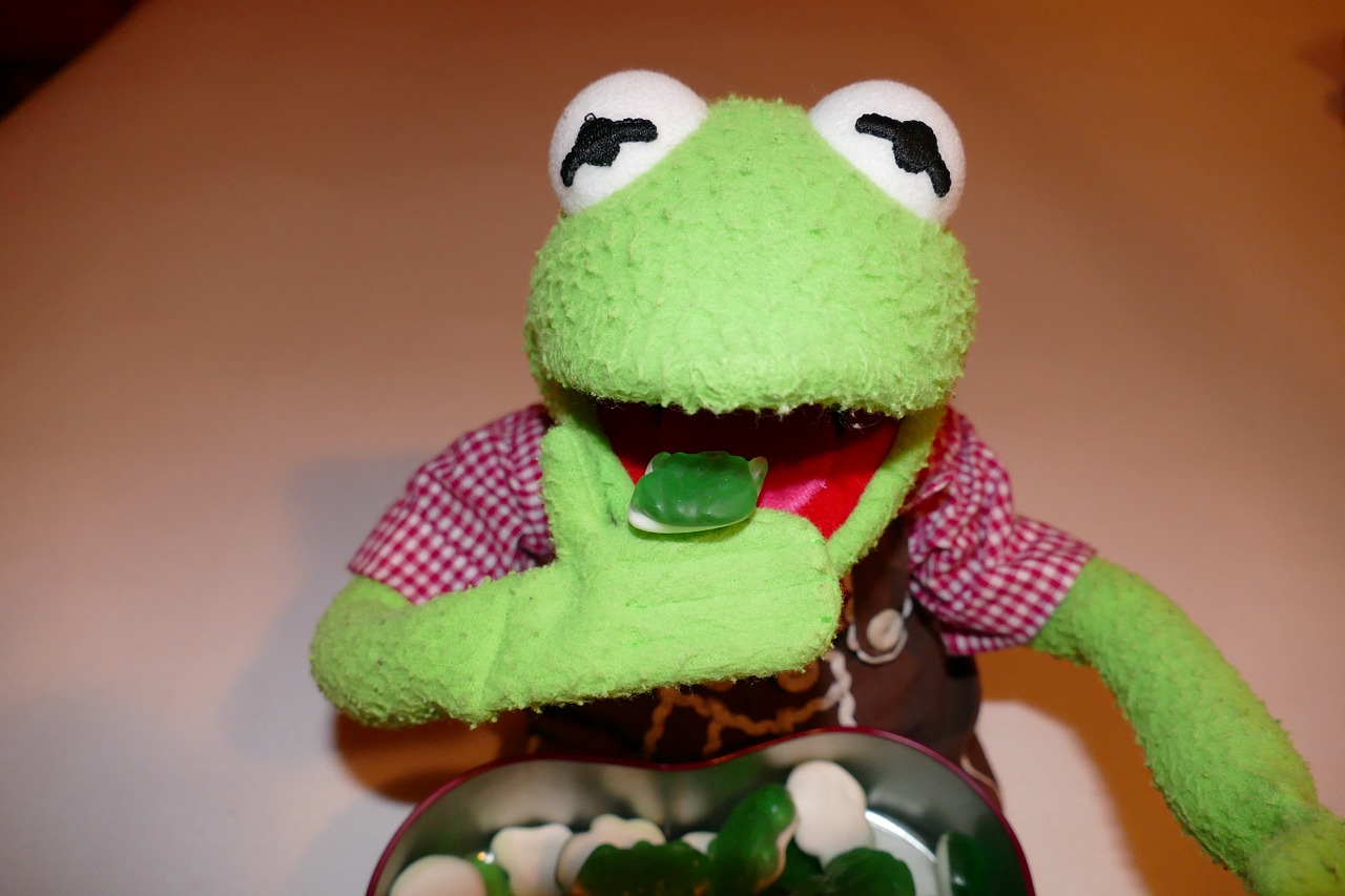 kermit frog eat free photo