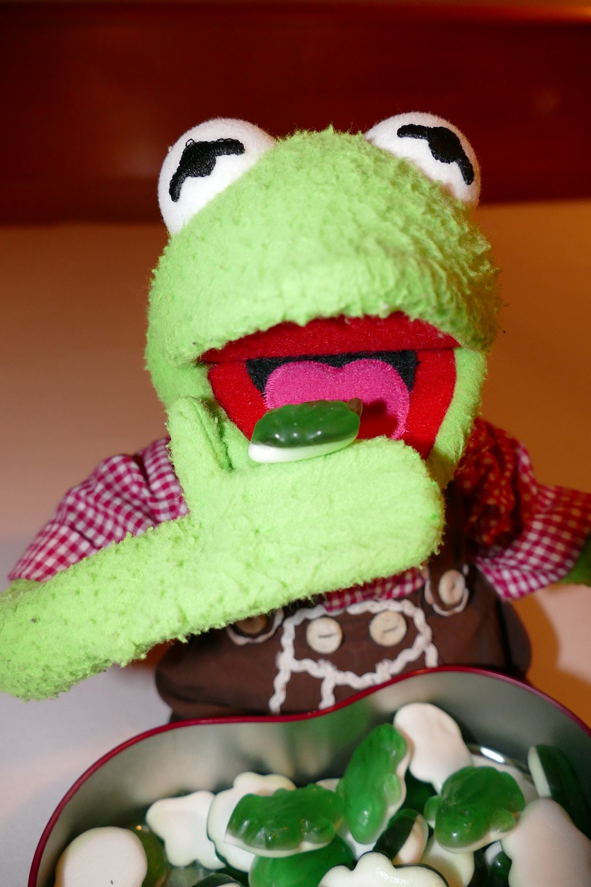 kermit frog eat free photo