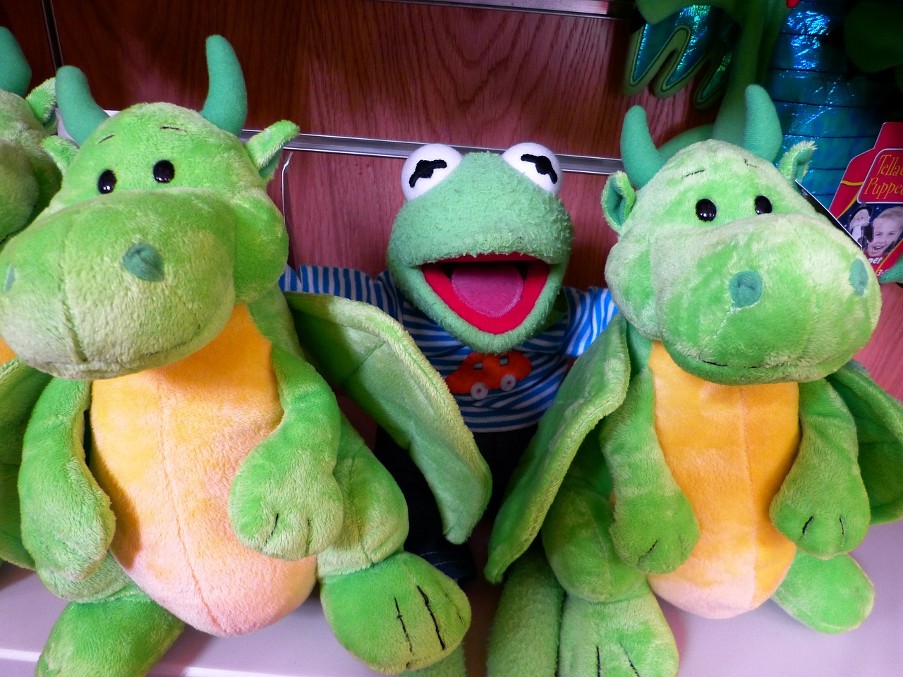 kermit plush toys frog free photo