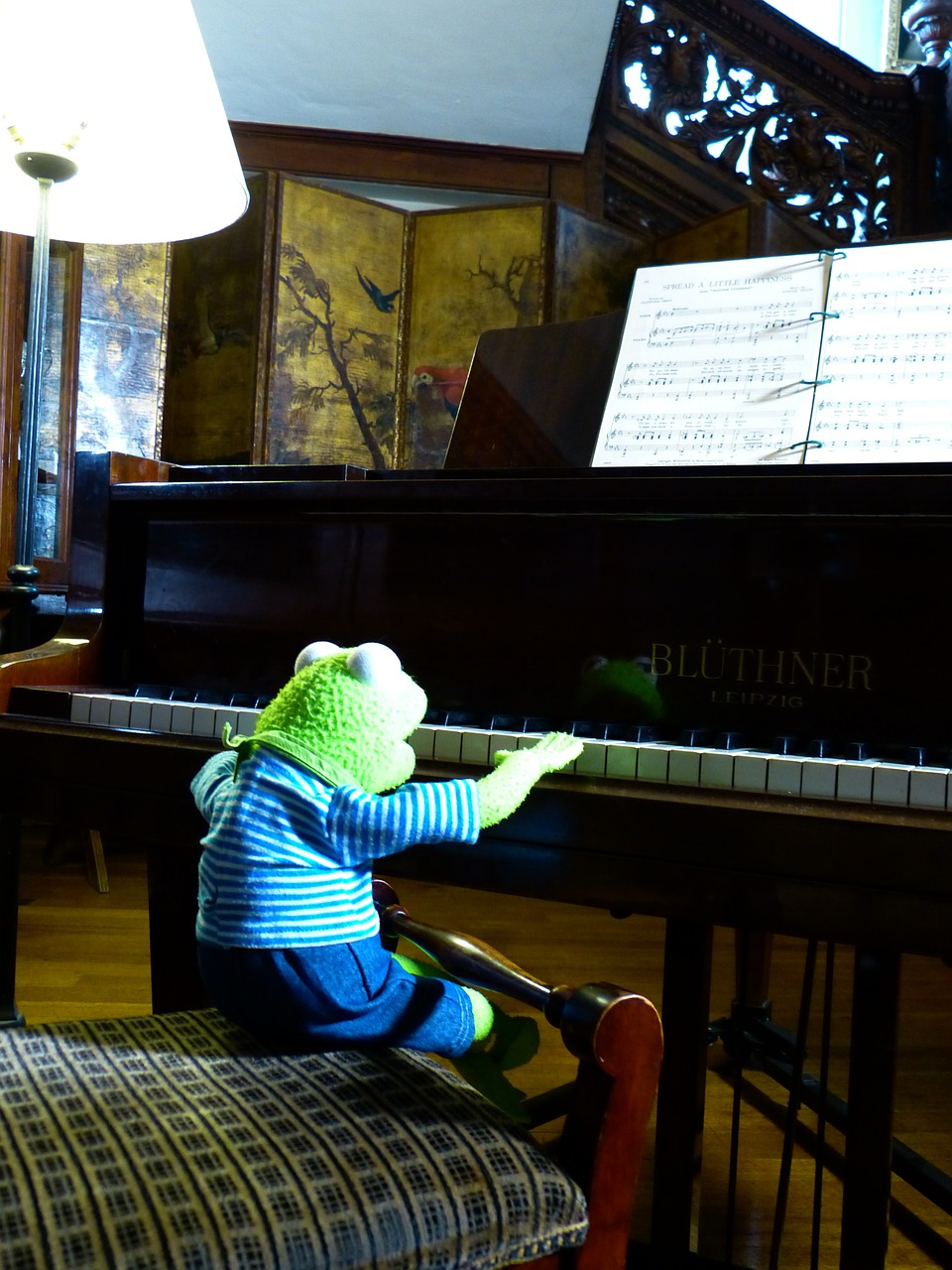 kermit frog piano free photo