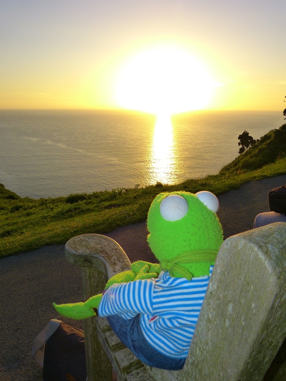 kermit frog sunset free photo