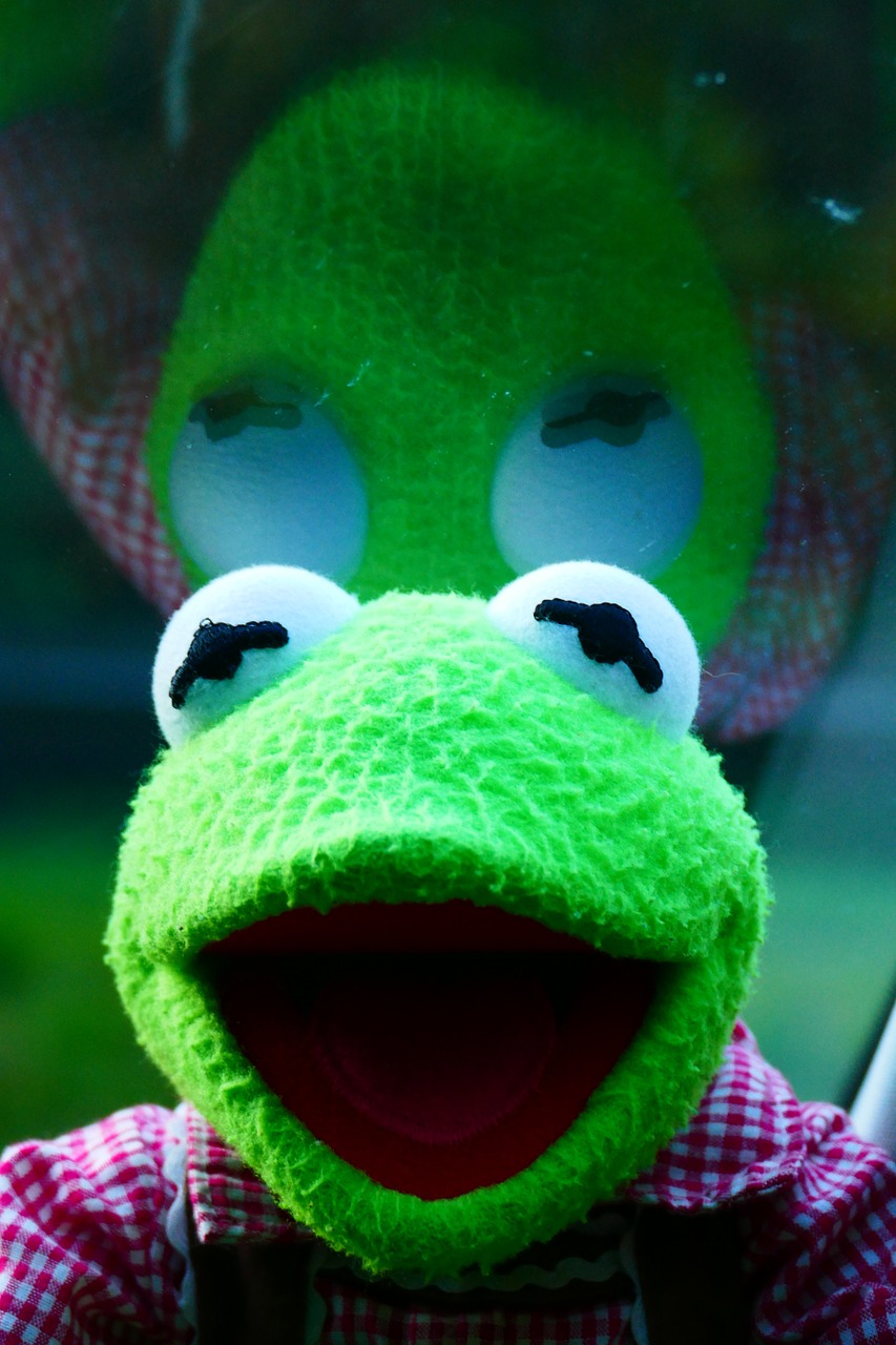 kermit frog reflect free photo