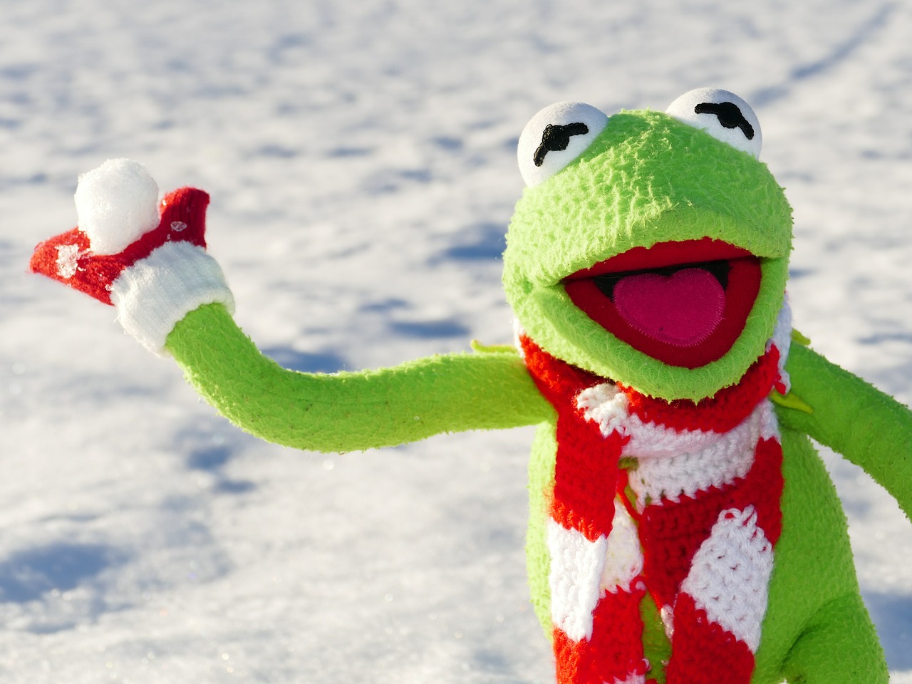 kermit frog snow ball free photo