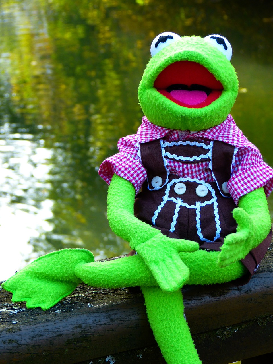 kermit frog doll free photo