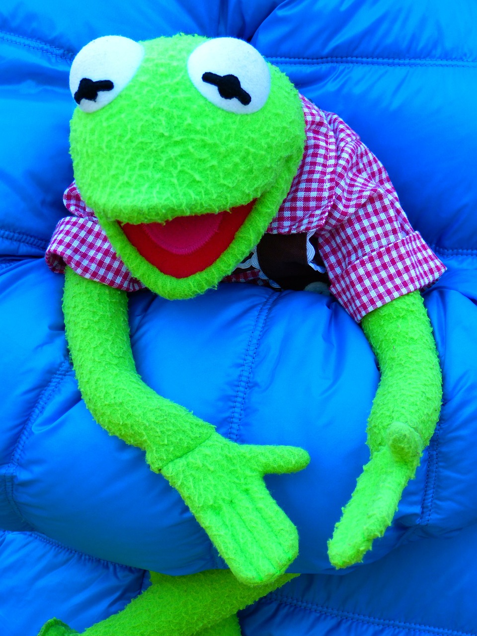 kermit frog doll free photo