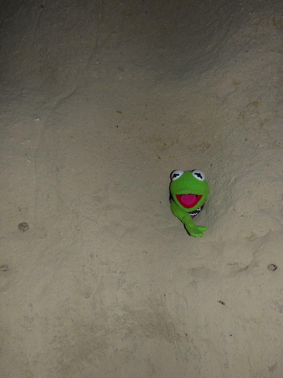 kermit frog green free photo
