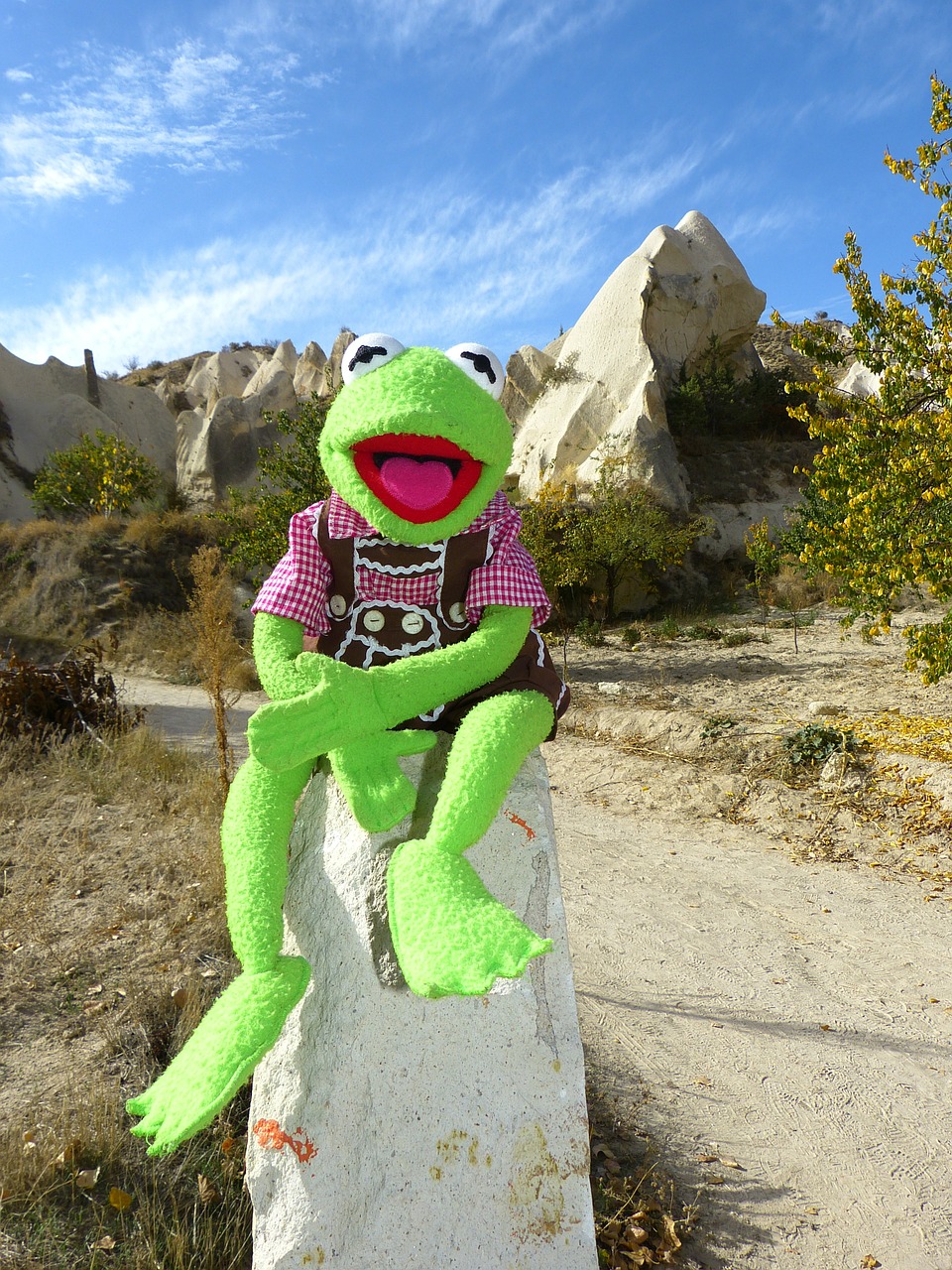 kermit frog cappadocia free photo