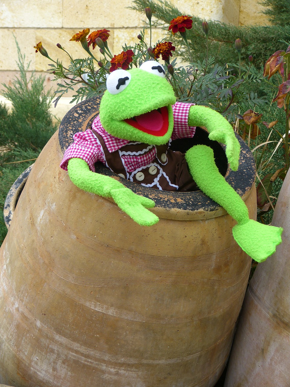 kermit frog green free photo