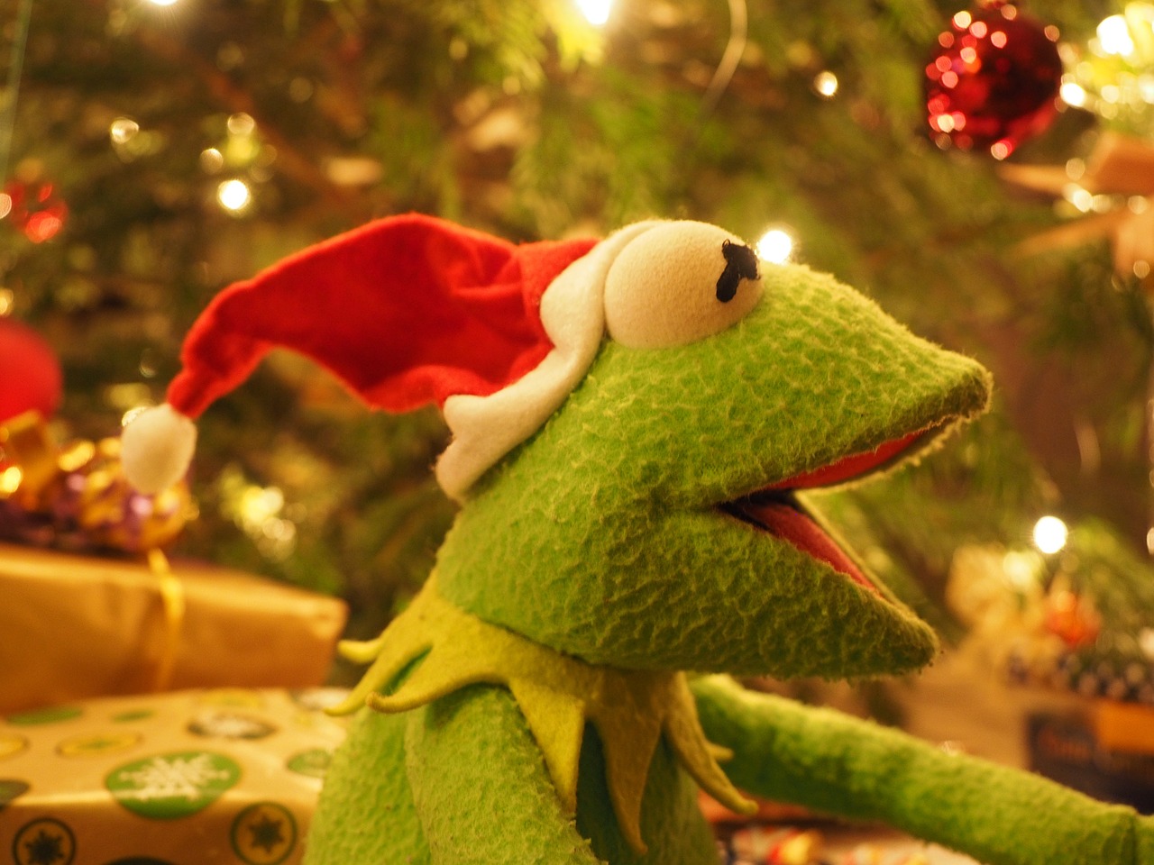 kermit frog christmas frog free photo