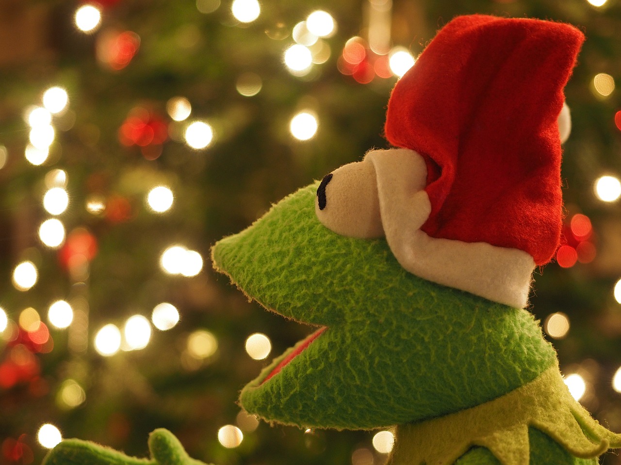 kermit frog christmas frog free photo