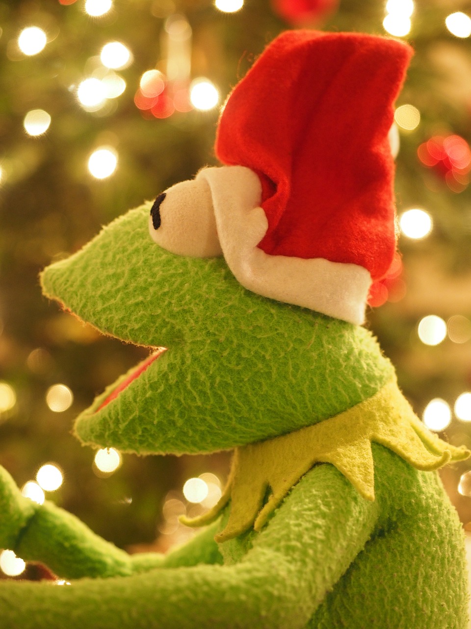 kermit frog christmas frog free photo