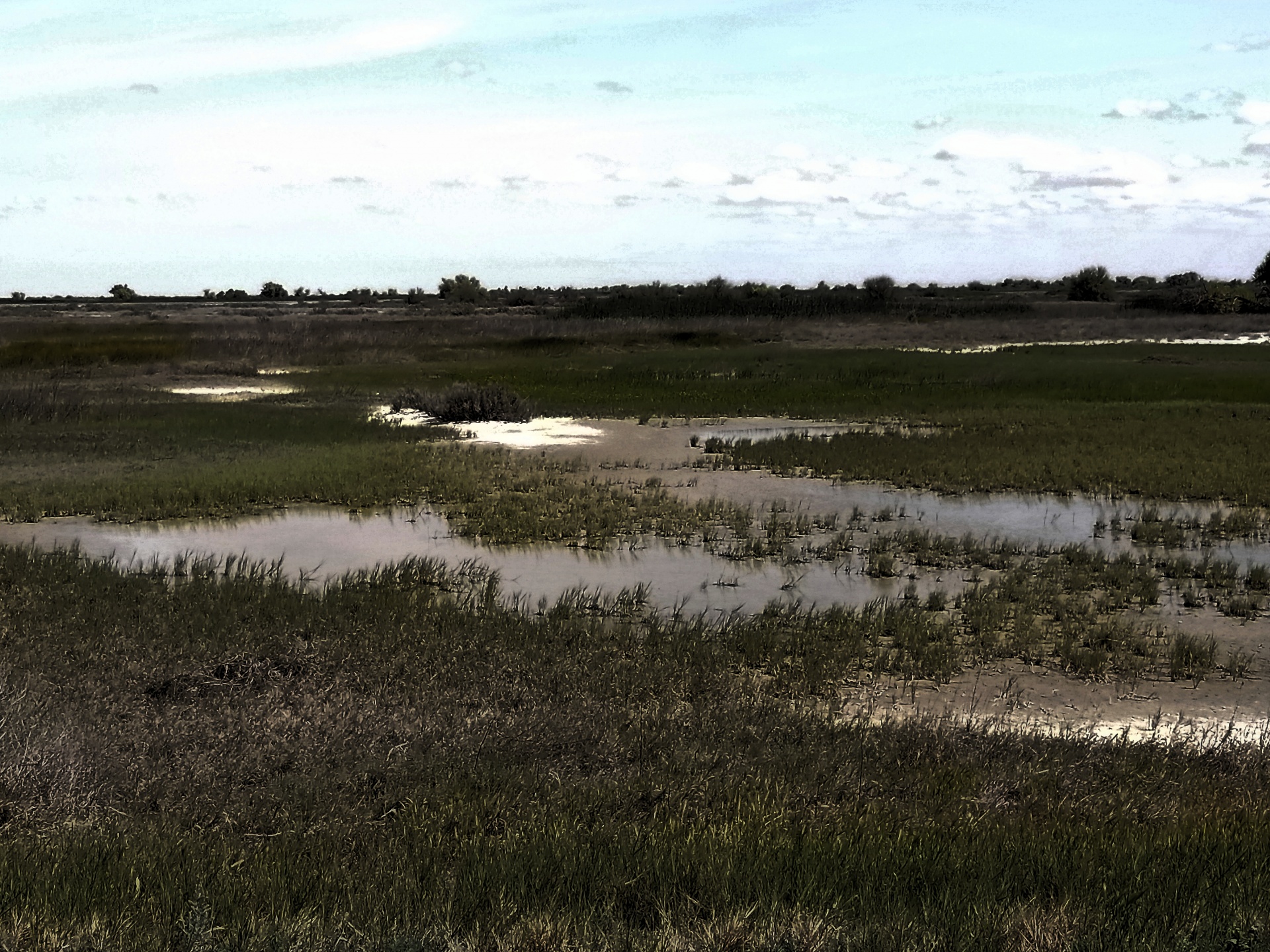 wetlands background scenic free photo