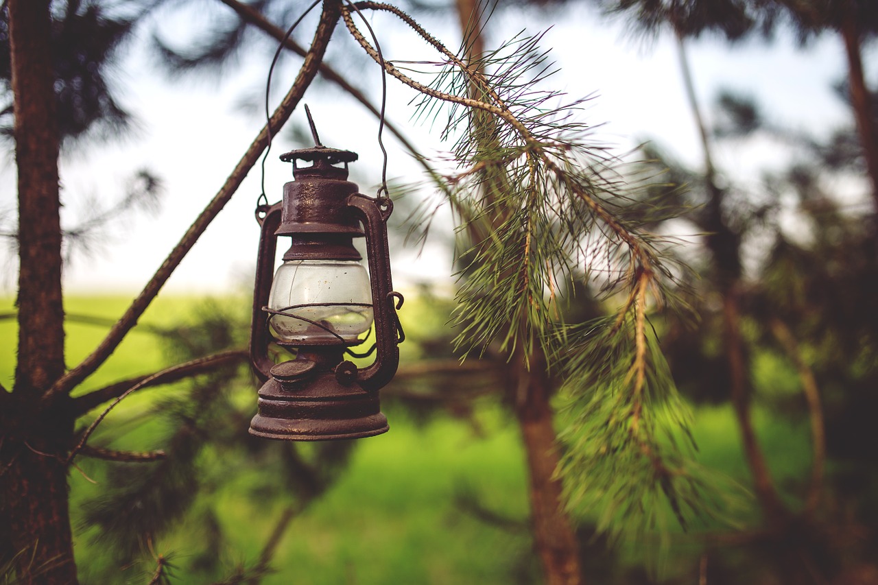 kerosene lamp woods free photo