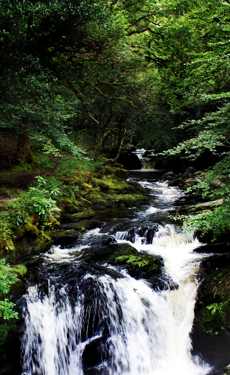 kerry waterfall water free photo