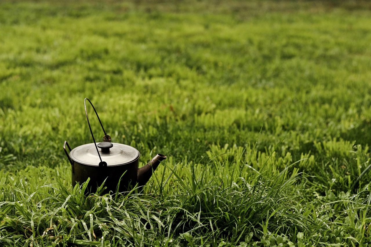 kettle outside grass free photo