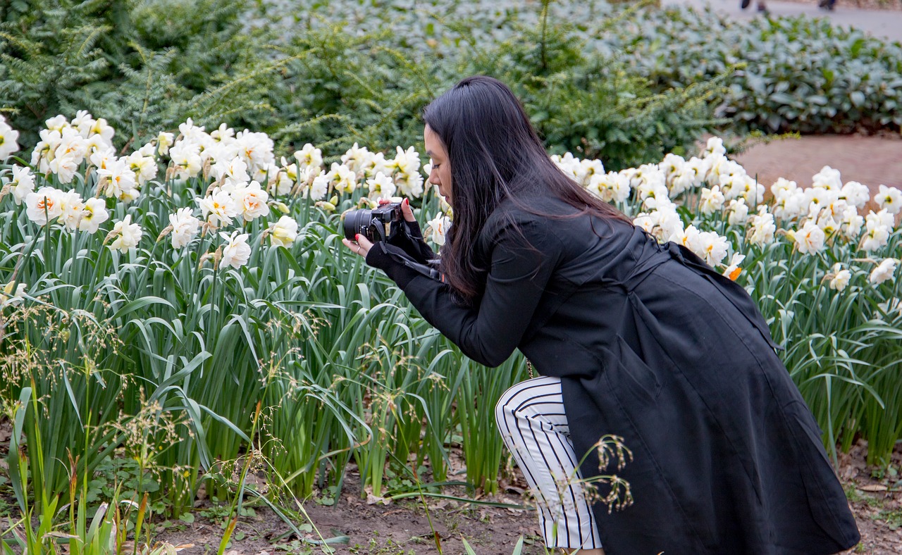 keukenhof  lisse  holland free photo