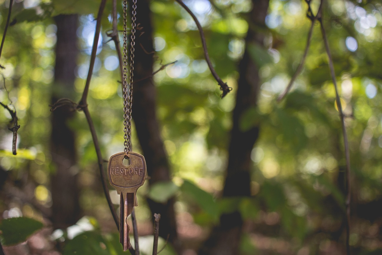 key chain hanging free photo