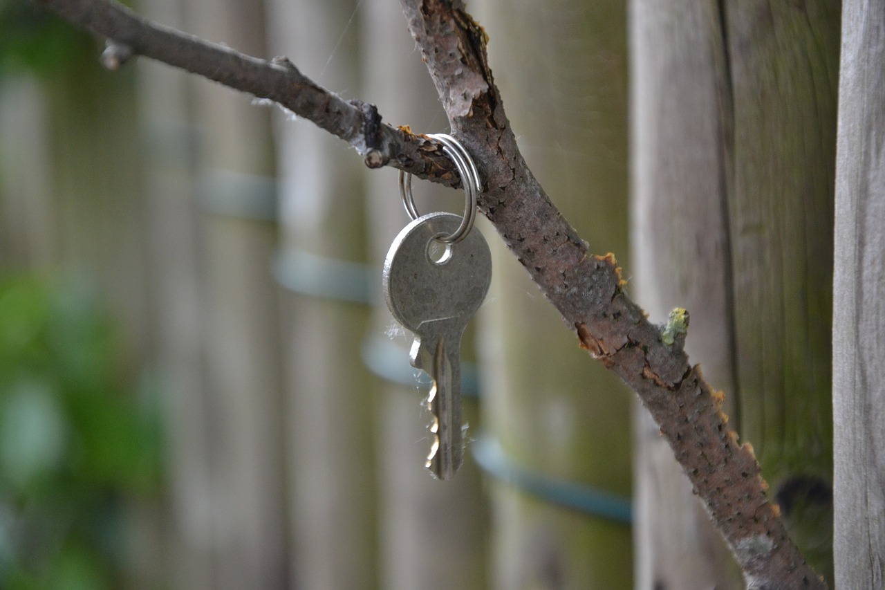 key branch fence free photo