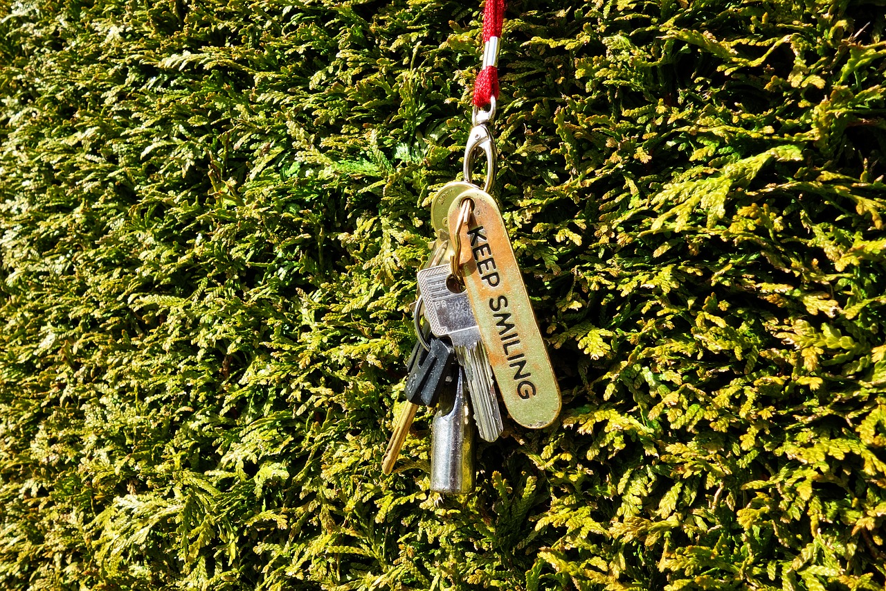 key key chain door free photo