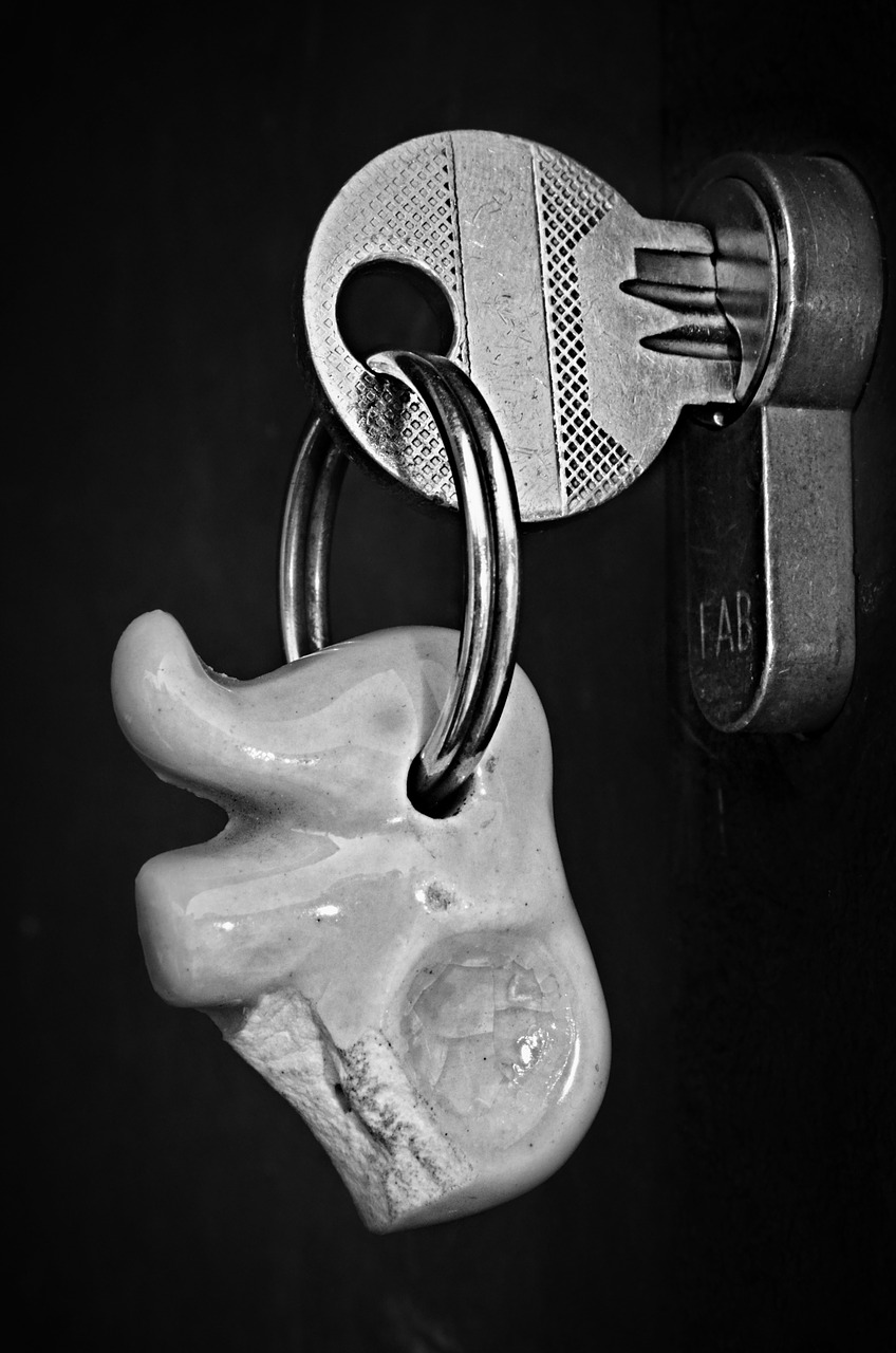 key bauble elephant free photo