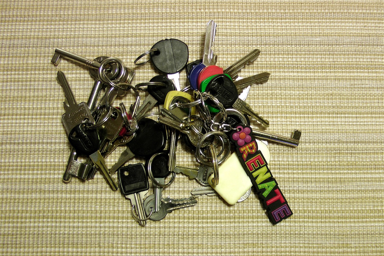 key keychain file free photo