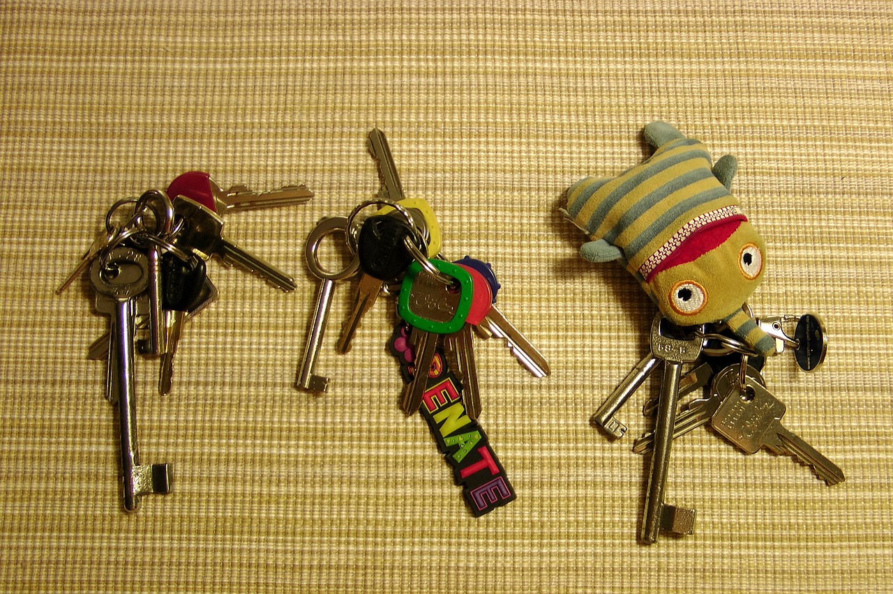 key keychain file metal free photo