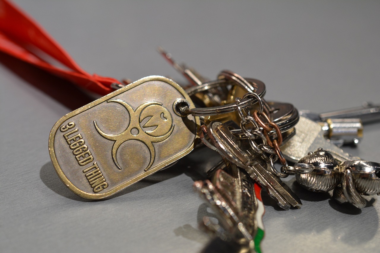 key ring keys bunch free photo
