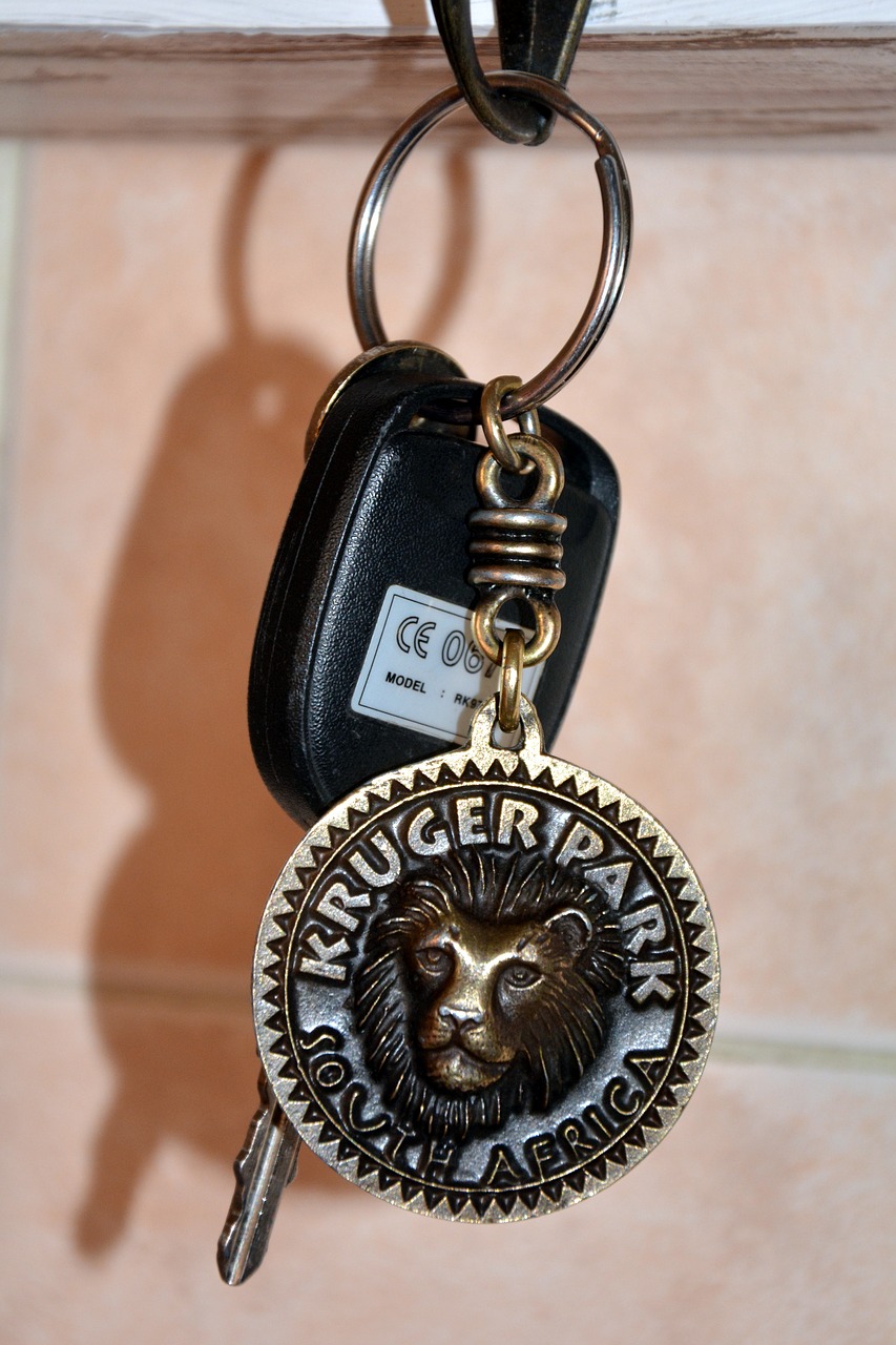 key ring key security free photo