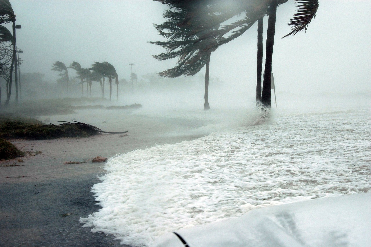 key west florida hurricane free photo
