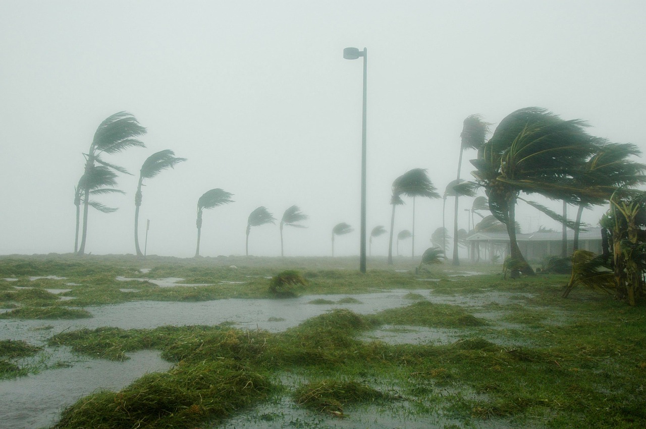 key west florida hurricane dennis free photo