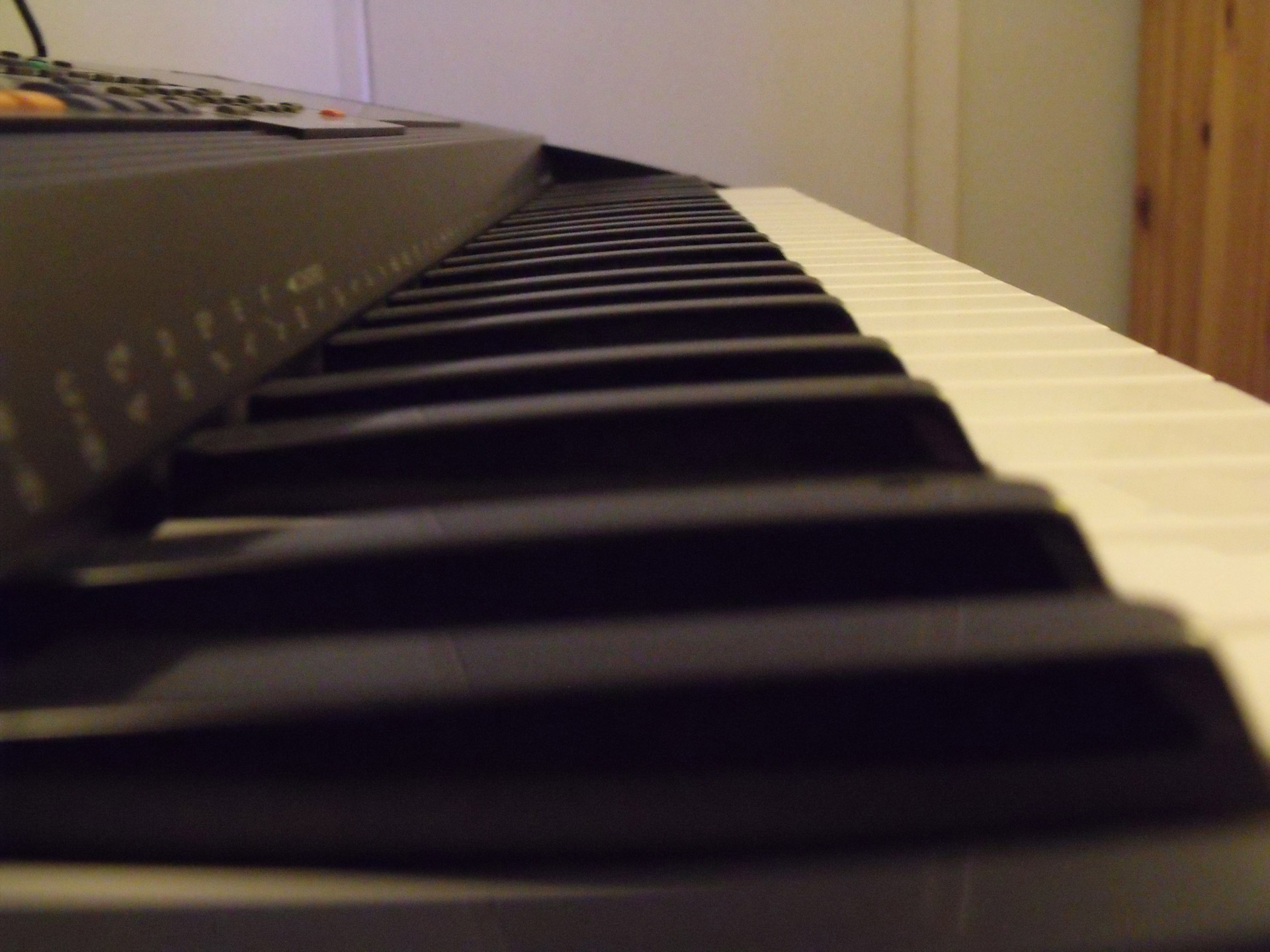 organ keyboard piano keys black and white free photo