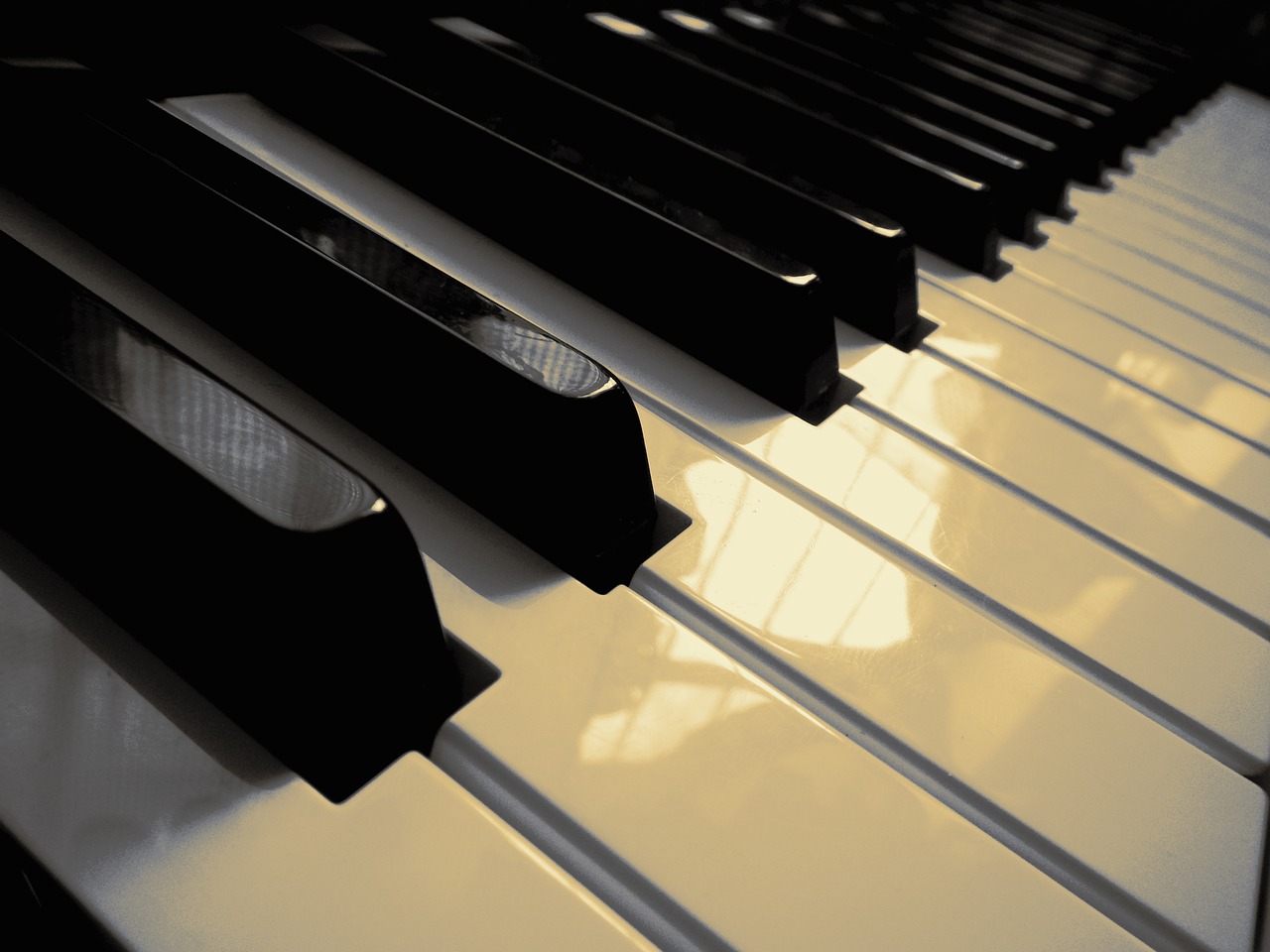 keyboard piano music free photo