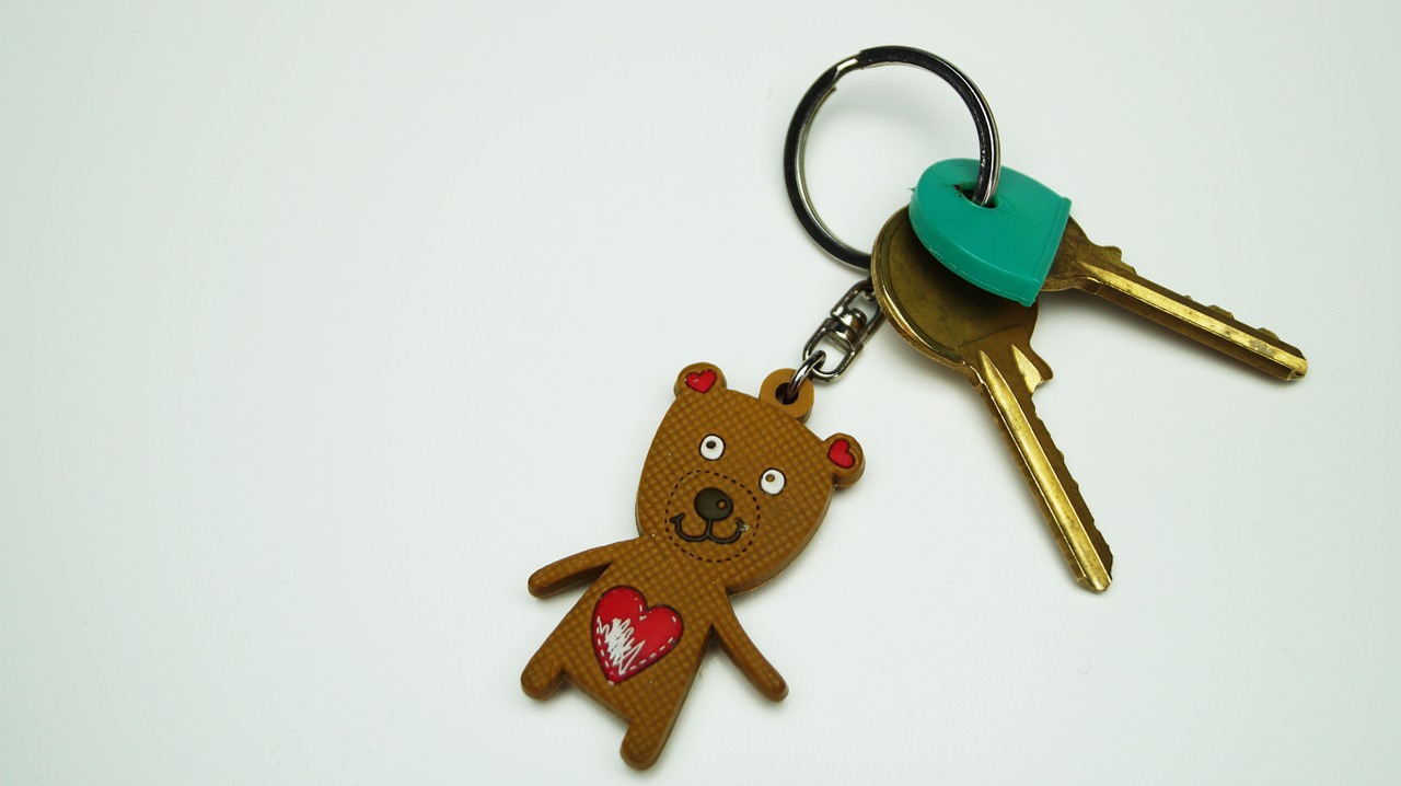 keys fob bear free photo