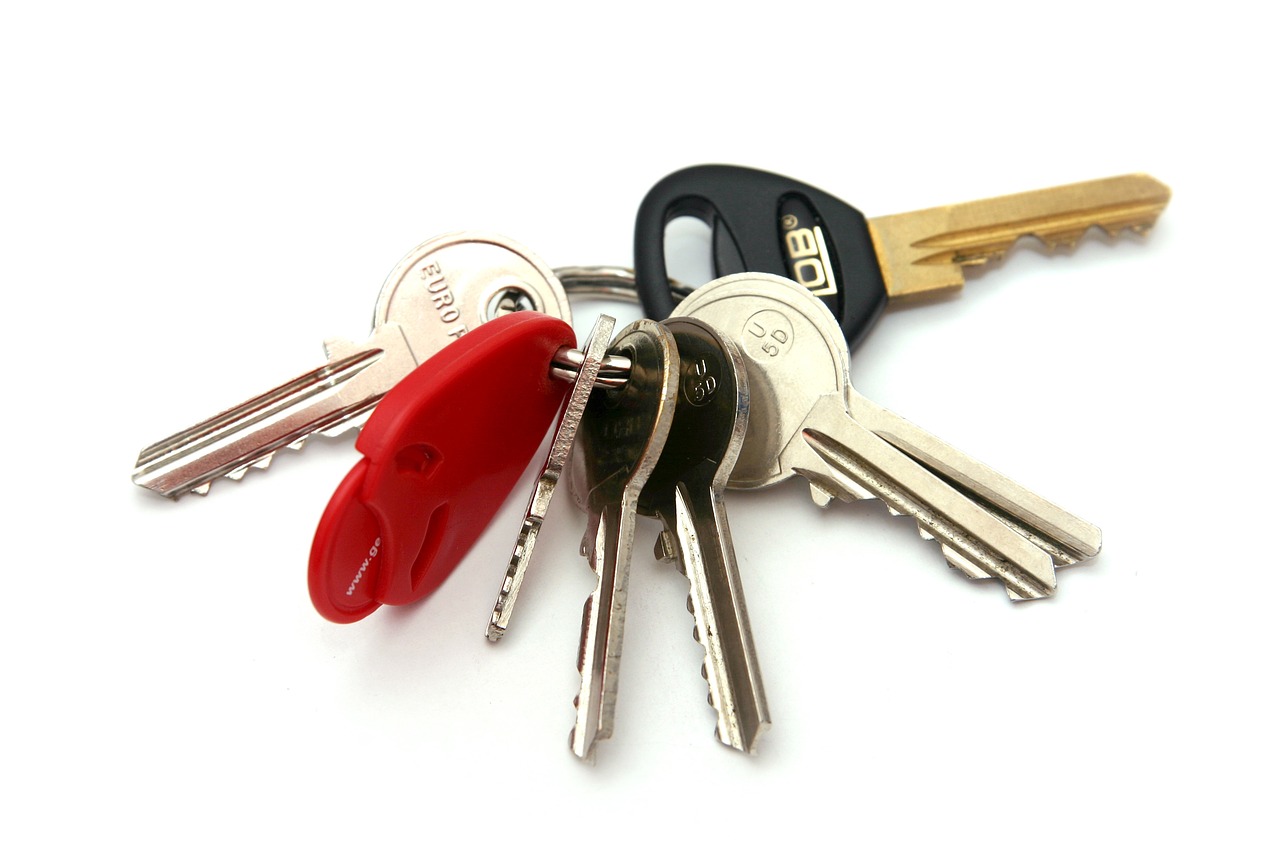 keys keychain keys on a ring free photo