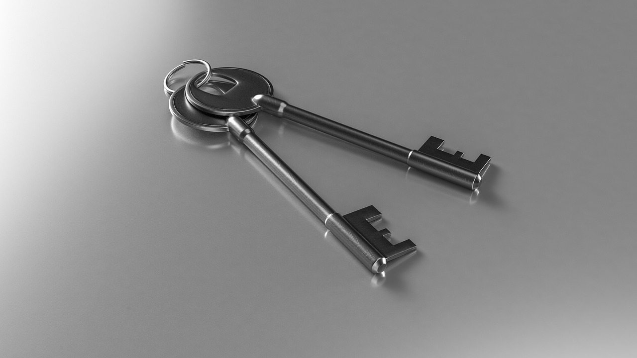 keys solution business free photo