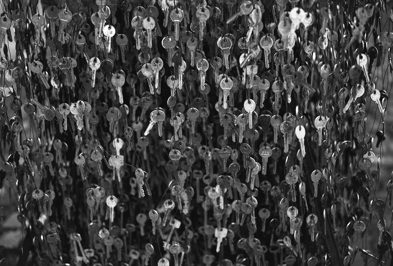 keys open locks security free photo